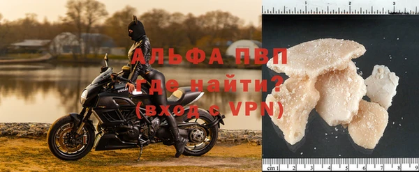 PSILOCYBIN Волосово